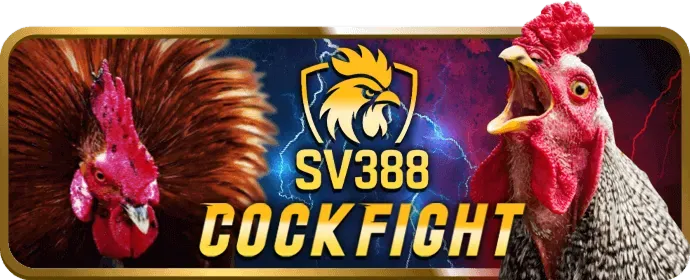 Bàn Poker với chip và lá bài